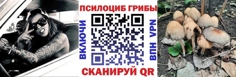 Галлюциногенные грибы Psilocybine cubensis  дарнет шоп  Бутурлиновка 